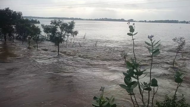 ସାରା ଓଡିଶା ବନ୍ୟା ରେ ଉବୁଟୁବୁ ।ଲୋକେ ନାହିଁ ନ ଥିବା ଦୁର୍ଦ୍ଦଶା ରେ ଅଛନ୍ତି ।ସ୍କୁଲ କଲେଜବନ୍ଦ୍।