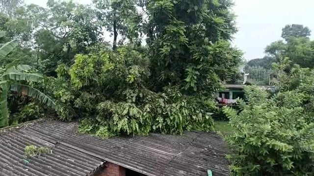 ! विभाग की लापरवाही से ग्रामीणों की जान भी जा सकती थी! टला बड़ा हादसा!