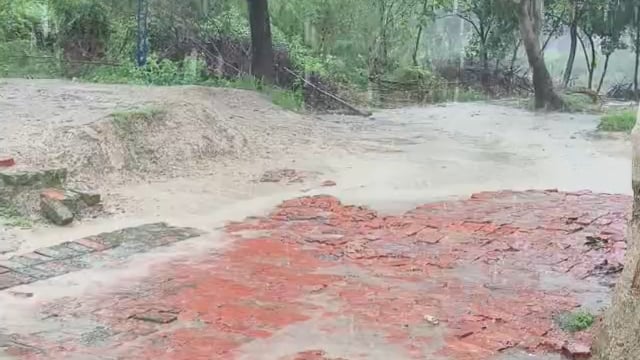 ब्लॉक बाबागंज रायगढ़ में मंगलवार, 18 अगस्त 2026 को हुई झमाझम बारिश से ग्रामीणों और किसानों के चेहरे खिले #latest_news 