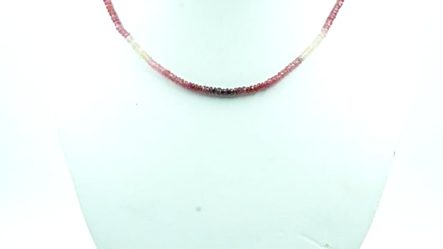 Video 1