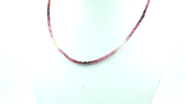 Video 1