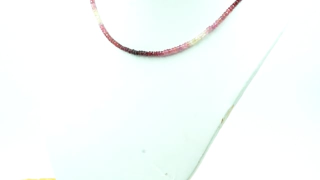 Video 1