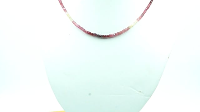 Video 1