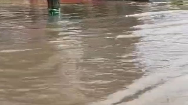 रीवा। नए बस स्टैंड के हाल बेहाल, रोड और दुकानों में भरा घुटनों भर पानी। Madhya Pradesh