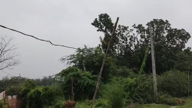 रायगढ़ मान्धाता में 2 महीने से टूटा बिजली का पोल बांस-बल्ली के सहारे एलटी लाइन ले जाने को मजबूर ग्रामीण#latest_news 