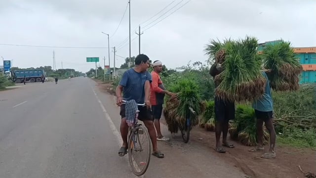 ପାଣି କମିଲା କିନ୍ତୁ ଚାଷୀ ର ଚିନ୍ତା ବଢ଼ା ଇଲା ।