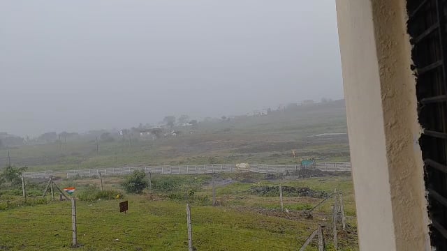 उदगीर शहरासह परिसरात पाऊस पिकांना नवसंजीवनी,मात्र दमदार पावसाची प्रतीक्षा कायम