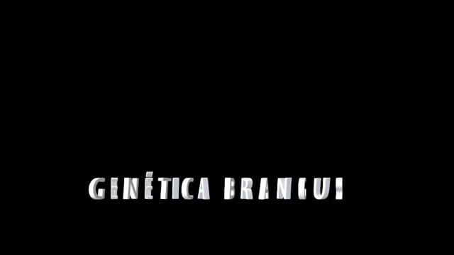 VT Comercial
