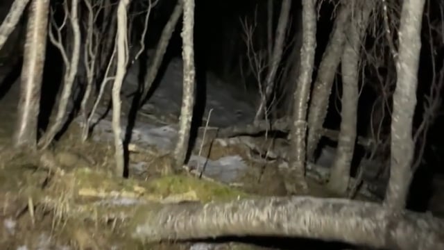 Vorschaubild des Videos aus den Lyngen Alps