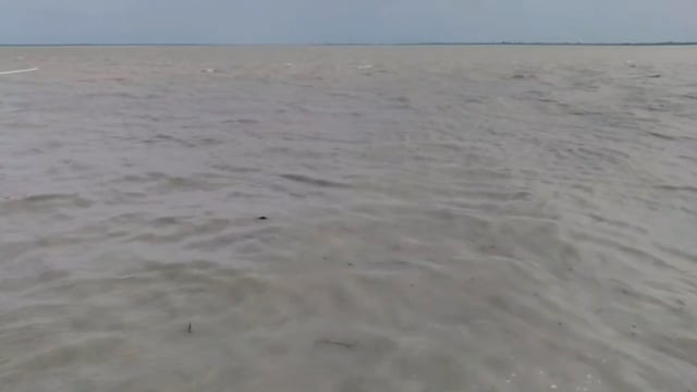 बगहा अनुमंडल क्षेत्र में तटबंधों एवं घाटों का जिला पदाधिकारी तरनजोत सिंह ने किया निरीक्षण।