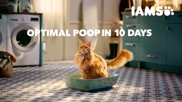 IAMS - Cat Poop Face
