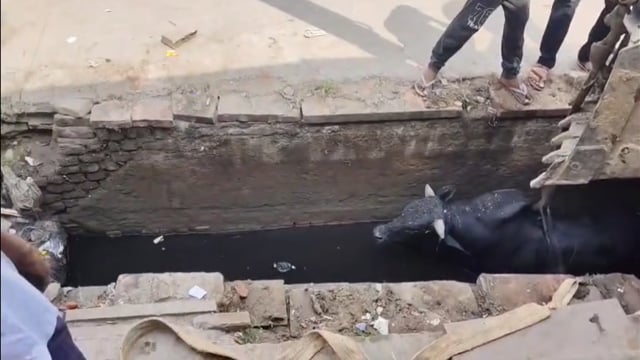 जन्माष्टमी से पहले खुली नगर निगम की पोल, नाले में गिरा नदी