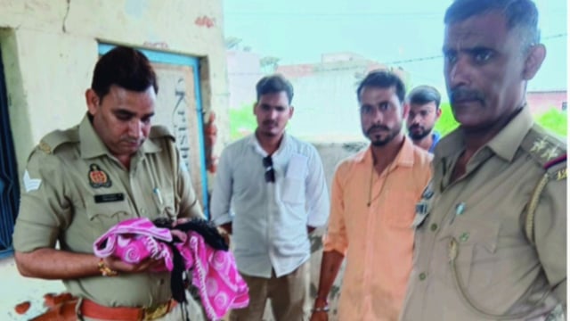 फरह गांव सलेमपुर मार्ग पर मिला सात महा का नवजात बच्चा पुलिस जुटी जांच में 