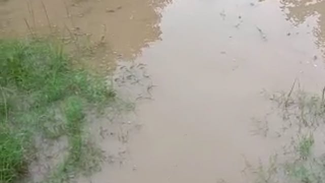 कुंडा ब्लॉक के रैयापुर बुढ़वापुर में जलभराव से घरों से निकलना हुआ दूभर, ग्रामीणों ने बीडीओ से लगाई जलनिकासी की गुहार,