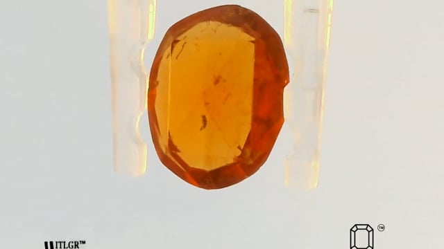 Video 1