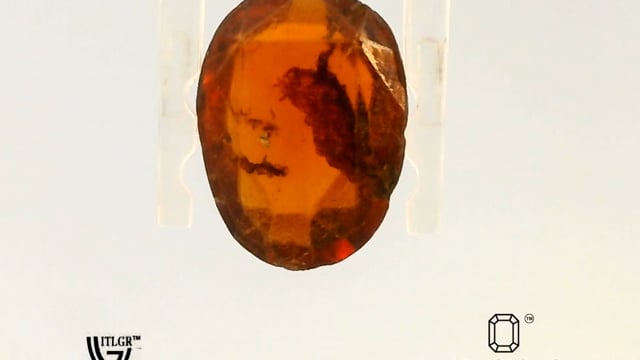 Video 1