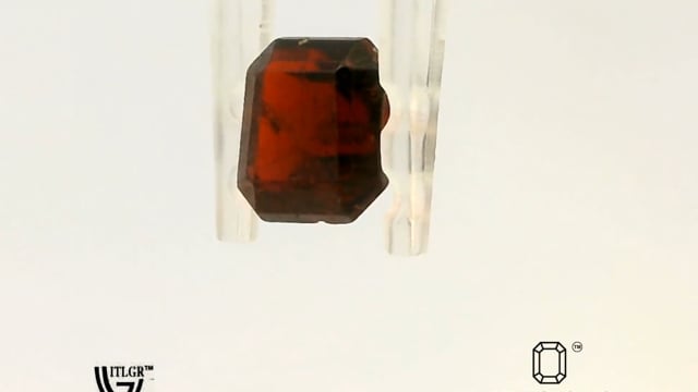 Video 1