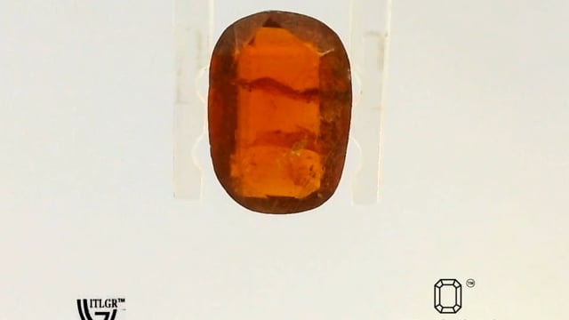 Video 1