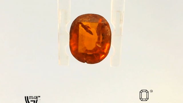 Video 1