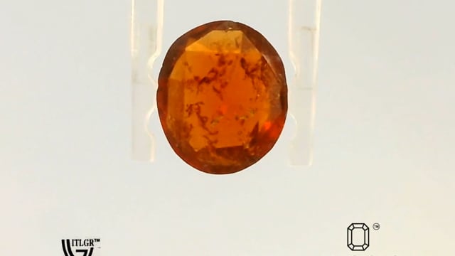Video 1