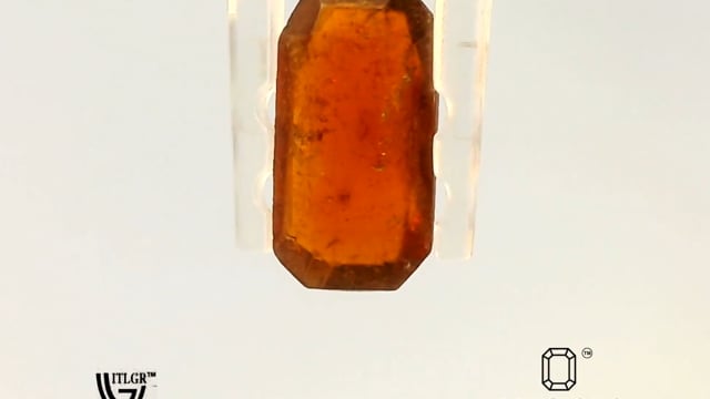 Video 1