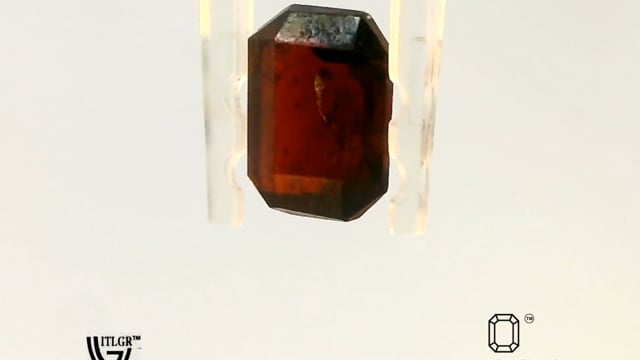 Video 1