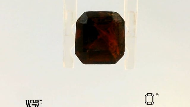 Video 1