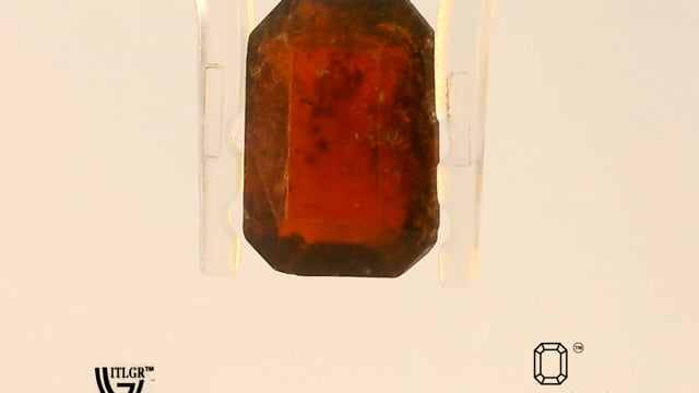 Video 1