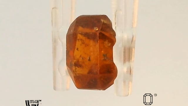 Video 1