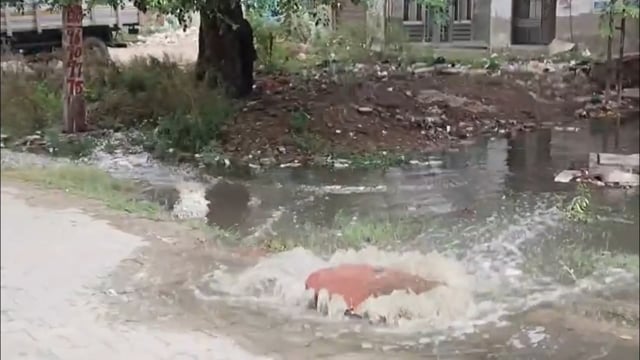 मथुरा सीवर का पानी ओवरफ्लो होने से वार्ड नंबर 14 कॉलोनी जल मग्न 