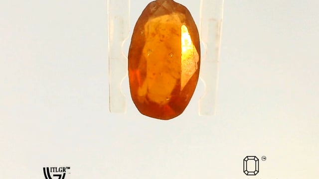 Video 1