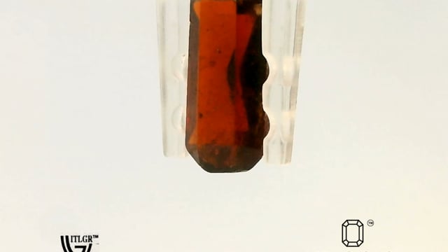 Video 1