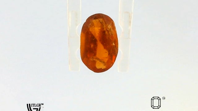 Video 1