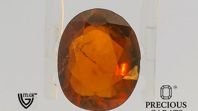 Video 1