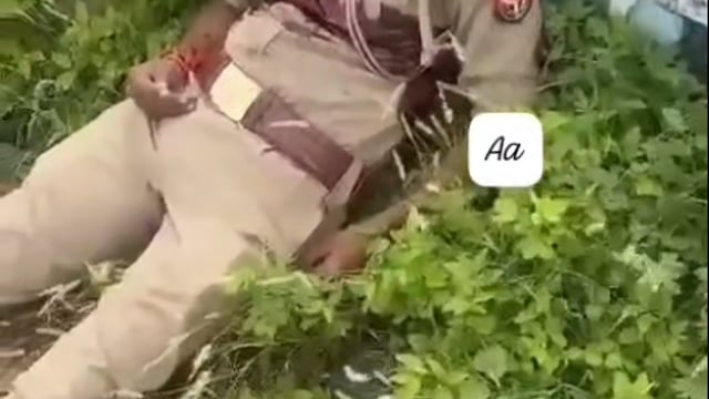 जनपद मथुरा में SP ट्रैफिक कार्यालय में तैनात दरोगा ने स्वम गोली मारकर की आत्महत्या