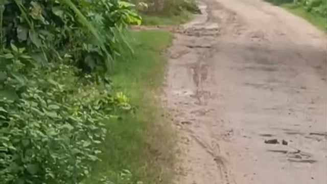 हापुड़: बाबूगढ़ में नहर की पटरी काटकर अवैध भराव, सुबह 5-6 बजे चलता है खेल*