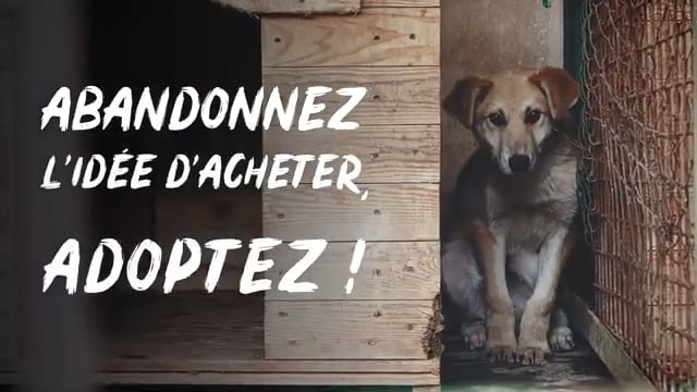 Démo voix off : Fondation Brigitte Bardot
