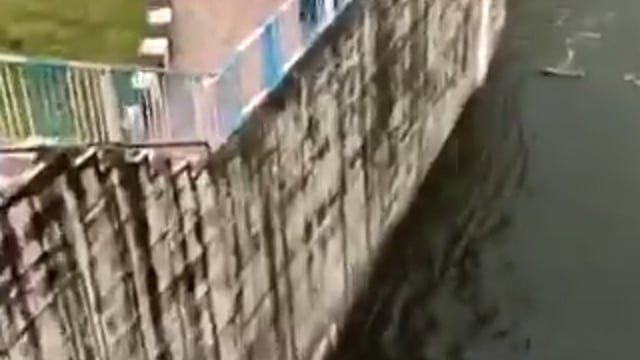 रील के लिए स्टंट करना झांसी के एक युवक को भारी पड़ गया।
30 फीट ऊंचे बांध से छलांग लगाकर वीडियो बनाने की कोशिश की, लेकिन किस्मत ने साथ नहीं दिया। युवक ऐसी जगह जा गिरा, जहां पानी बेहद कम था।

हादसे में उसके दोनों पैर टूट गए और अब वह अस्पताल में भर्ती है।