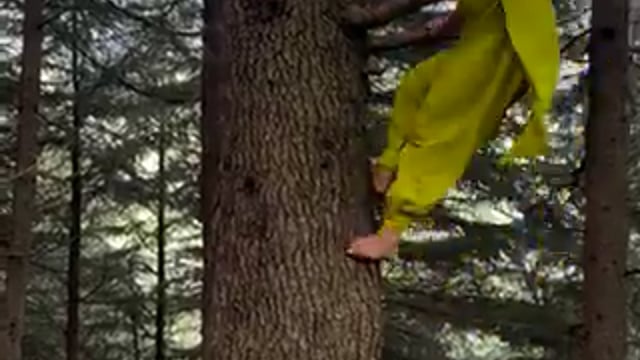 ये पूजा गुलेरिया है, 
हिमाचल की कंटेंट क्रिएटर हैं, 
उनकी लेटेस्ट रील देखिए
कितनी आसानी से उस पेड़ पर चढ़ जाती जिसकी चोटी देखने के लिए लोगो के सिर की टोपी गिर जाती है

ये प्रतिभा ही तो है
