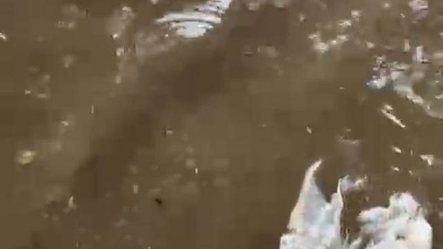 आगरा बरसात की पानी के बाद खदोली हाईवे पर यातायात व्यवस्था भंग एंबुलेंस एवं यातायात वाहनों का लगा 3 किलोमीटर तक जाम