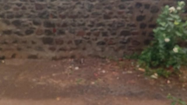 शेटफळे मध्ये पावसाला सुरुवात 
