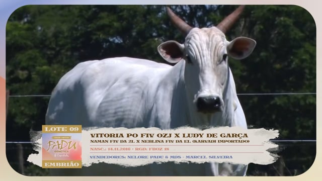 Lote 09