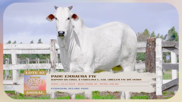 Lote 02