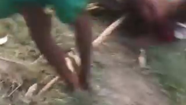 यूपी: लखीमपुर खीरी में एक शख्स खेत में चारा काट रहा था। अचानक युवक पर अजगर ने हमला कर दिया और युवक के दोनों हाथ और गर्दन को अजगर ने बुरी तरह जकड़ लिया। आसपास खेतों में काम कर रहे मजदूरों ने किसी तरह युवक को अजगर के चंगुल से मुक्त कराया।
