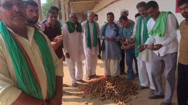 नौहझील के चंढोली कोल्ड स्टोरेज पहुंचे किसानों को मिला खराब आलू, नुकसान की भरपाई कराने की मांग
