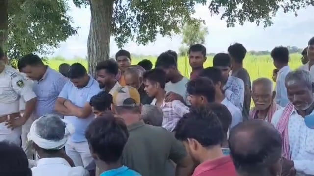 बगहा में बाघ का खौफनाक हमला, चारा काट रही महिला की मौके पर मौत
