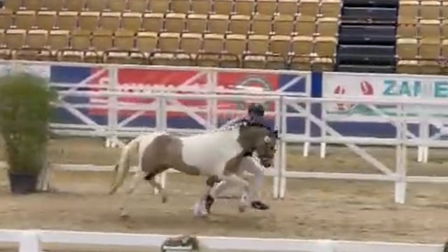 Barbie Dreamhorse Alert! video 4