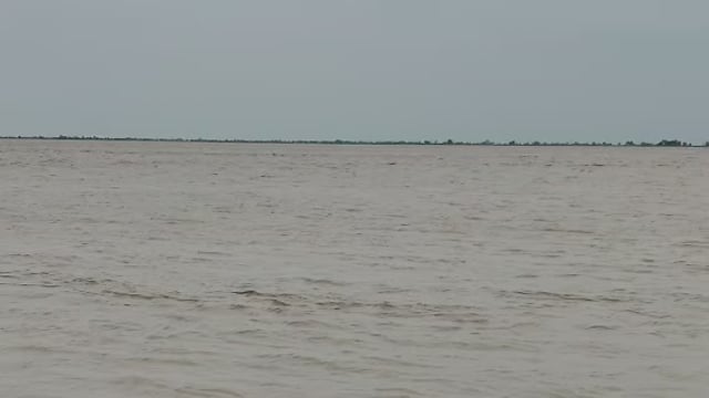 गंडक नदी का जलस्तर बढ़ा, बगहा के कई गांवों में घुसा पानी; प्रशासन अलर्ट