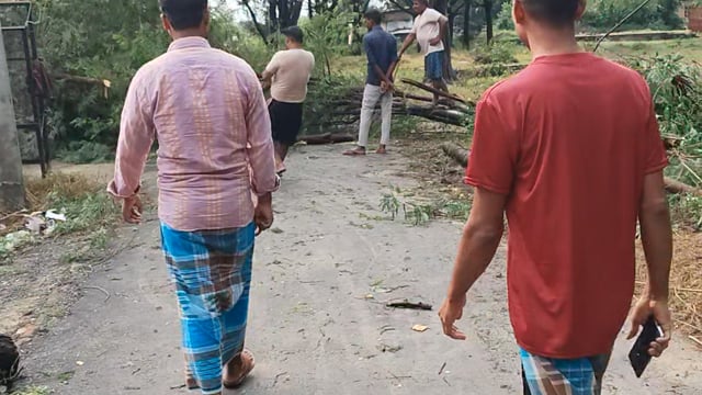 अम्बेडकर नगर आलापुर विधानसभा क्षेत्र में जगह-जगह पेड़ गिरने से यातायात बाधित