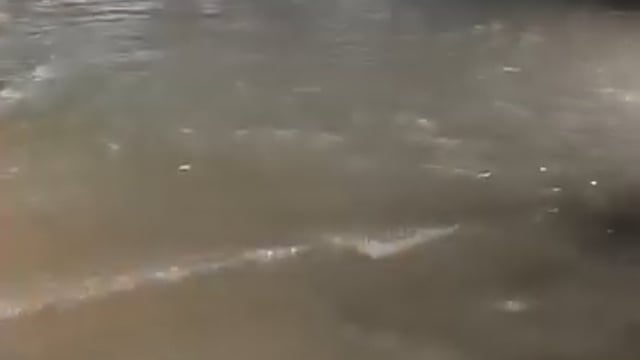 मुख्यमंत्री का गृह जनपद गोरखपुर का दृश्य